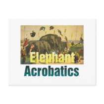 TEE Elephant Acrobatics Post Card