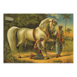 TEE Horse Royalty business cards