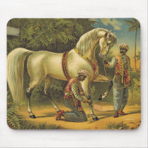 TEE Horse Royalty