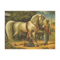 TEE Horse Royalty