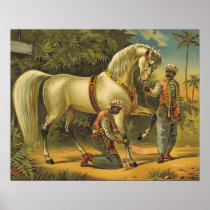 TEE Horse Royalty