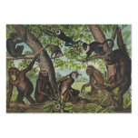 TEE Monkey Mayhem business cards