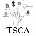 Tee Shirt Hand Jing Well, TSCA