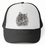 TeeGee, Long-Haired Grey Cat hats