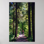 Tegernsee Trail Print