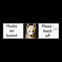 Tehya - Siberian Husky bumper stickers
