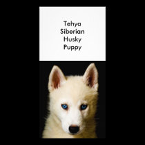 Tehya - Siberian Husky photo cards