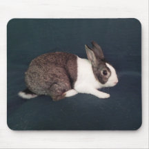Tejas - Rescue Rabbit in Austin Texas Mousepad