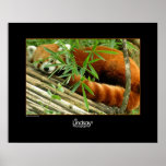 Tello Poster