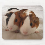 Telmha & louise mouse pad