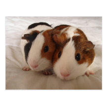 Telmha & louise post cards