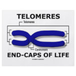 Telomeres End-Caps Of Life (Biology Humor) Personalized Flyer