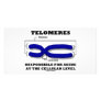 Telomeres Responsible For Aging At Cellular Level Personalized Photo Card