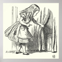 Template Alice Looking for the Door