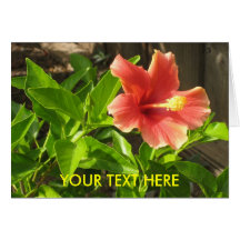 Template Card