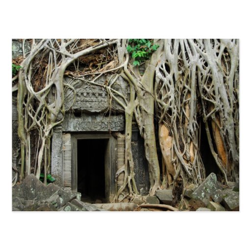 temples angkor post card