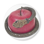 TemptationAppleSnake112311 Refrigerator Magnet