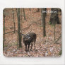 Ten Point Buck Mouse Pad