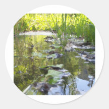 Ten Sleep Swamp Round Sticker