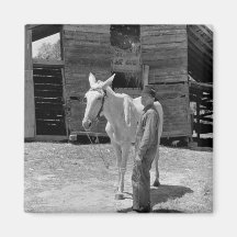 Tenant Farmer's Mule, 1930s Fridge Magnet