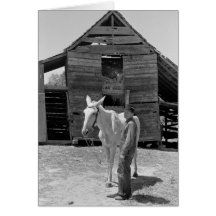 Tenant Farmer's Mule, 1930s Greeting Cards