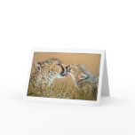 Tender Kiss Cheetah Baby & Mum greeting card