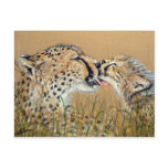 Tender Kiss Cheetah Baby & Mum postcards