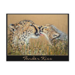 Tender Kiss Cheetah Baby & Mum postcard