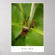 Tender Shoots Print