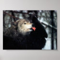 Tenderness posters