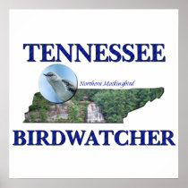 Tennessee Birdwatcher Poster