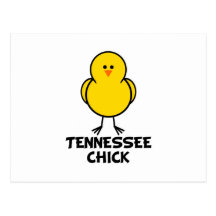 Tennessee Chick Postcard