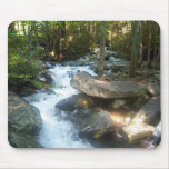 Tennessee Great Smoky Mountains National Park Mouse Pads