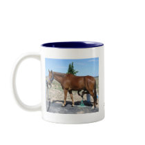 Tennessee Walking Horse Pedicure - Equine Humour Mugs