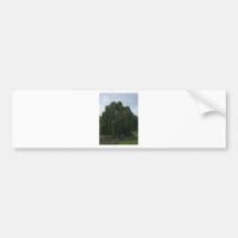 Tennessee Willow Tree Bumper Stickers