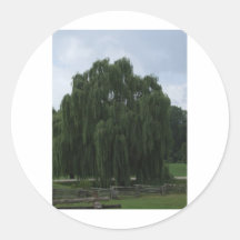 Tennessee Willow Tree Round Sticker
