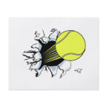 tennis ball ripping through flyers