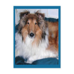 Tennyson-A collie Post Card