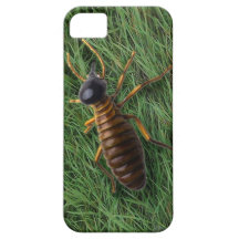 Termite iPhone 5 Cover