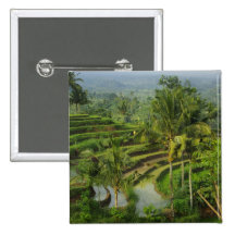 Terrace Ricefield in Bali Button