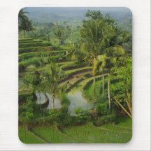 Terrace Ricefield in Bali Mousepad