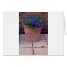 Terracotta and Blue Flowers Cards
