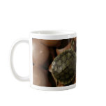 terrapin mugs