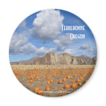 Terrebonne Pumpkins magnets