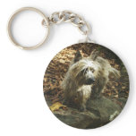 Terrier in Autumn Keychain