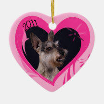 Terrier Mix Valentine's Heart Ornament