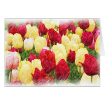 Terrific Tulips - Coloured Pencils