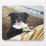 "Tess" the Border Collie~Mousepad