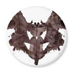   Test magnets