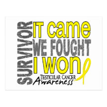 Testicular Cancer Survivor It Came We Fought I Won Post Card